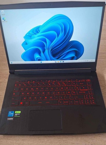 Portable gamer - pc,