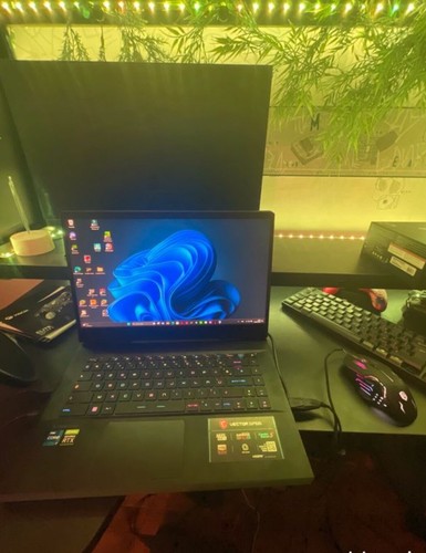 Portable gamer msi vector - portable,