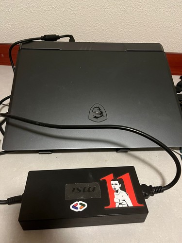 Portable gamer msi vector - pc,